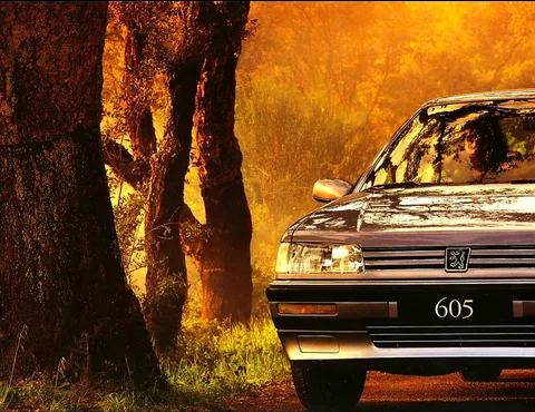 Extérieur Peugeot 605